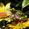 Tree frog resting on flower