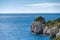 Tree in front of blue turquoise water of calanque national park, south france