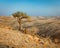 Tree in front of mountain panorama in Namibia