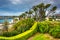 Tree and garden overlooking houses in Corona del Mar