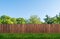 Tree in garden and wooden backyard fence with grass