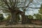 Tree gate in the city of Ayutthaya Thailand