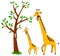 Tree and Giraffe