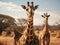 Tree giraffes among desert plants in front of savannah landscape. Girrafe in savannah, walking along south africa national park on