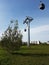 Tree and glade against the background of the cableway