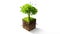 Tree, graphic and green sustainability for eco friendly, nature or care for earth environment. Trees, climate change or