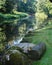 tree and grass reflection in the confluent waters of the river