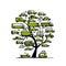 Tree with green cars, transportation concept for