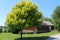 Tree green field farm barn cloudy sunny