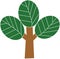 the tree with green leaf for clipart