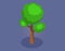 Tree with green leafage. Alone deciduous tree with trunk and dense foliage, lush crown, high plant