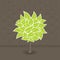 Tree with green leafs. Vector