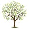 tree with green leaves. Vector illustration decorative design