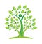 Tree green teamwork figures icon vector