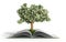 tree growing from book A big open book with coins and tree Reading makes you richer concept 3d render