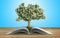 Tree growing from book A big open book with tree Reading makes y