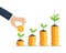 Tree growing on coins stack. growth and save business concept. steps to money success.