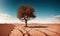 A tree growing in the desert, soil split by drought