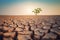 Tree Growing on Drought Land, Climate Change Concept. Generative Ai