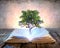 Tree Growing From The Old Book