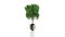Tree growing from am old bulb with ground reflection,green energy concept,Alpha , stock footage