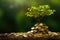 Tree growing on a pile of coins. Money tree growing. Economic growth and environmental investment concept