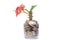 Tree growing from pile of stacked lots coins with blurred background, Money stack for business planning investment