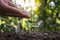 Tree growing on soil and farmer`s hand caring for trees with watering plants, planting ideas.