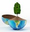 Tree growing on soil inside half open globe. 3D illustration