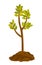 Tree growing in the soil vector illustration.