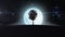 Tree Growing under the New Moon Rising. HD 1080