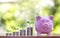 The tree that grows on the coin stack includes pig piggy banks to save money, ideas and financial.