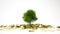 Tree grows gold coins Financial economy growth concept finance business investment success
