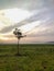 a tree that grows in the middle of a misty rice field.