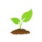 The tree that grows from seed is a big tree with green color and the seedlings grow into a big tree. Vector illustration