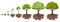 Tree growth cycle. Agriculture growing plant, apple bush change. Isolated planting concept, cartoon garden fruits