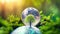 Tree growth inside glass globe in nature. concept eco earth day idea environmental protection image