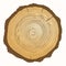 Tree growth rings. Vector wooden background