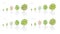 Tree Growth stages. Apple, peach and lemon mandarin increase phases. Vector illustration. Ripening period progression. Fruit trees