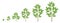 Tree growth stages. Ripening period progression. Tree life cycle animation plant seedling phases