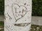 Tree with heart engraved with letters