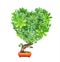 Tree with heart-shaped crown in flowerpot. Love of nature. Ecology and zero waste concept