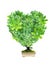 Tree with heart-shaped crown in flowerpot. Love of nature. Ecology and zero waste concept