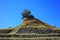 Tree on hill of mining area in Australia