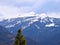 Tree and Himalayan Peaks of Shivalik Range - Blue Mountains Covered by White Snow with Cloudy Sky in Background - India, Asia