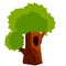 Tree with hollow. Wood with hole. Brown bark of plant and green leaves. Nest of forest animal.