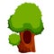 Tree with hollow. Wood with hole. Brown bark of plant and green leaves. Nest of forest animal.