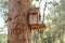 Tree house for bird