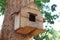 Tree house for birds