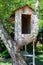 Tree house in a branched birch tree, small playhouse
